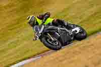 Lower Group Black Bikes